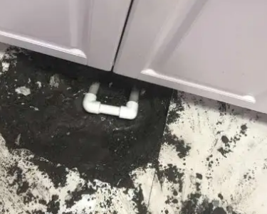 漳平查漏水哪家好